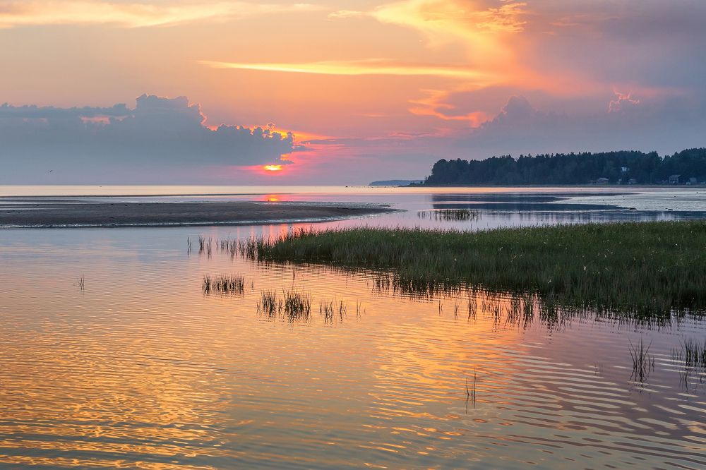 Фотография автора Анна Акименко