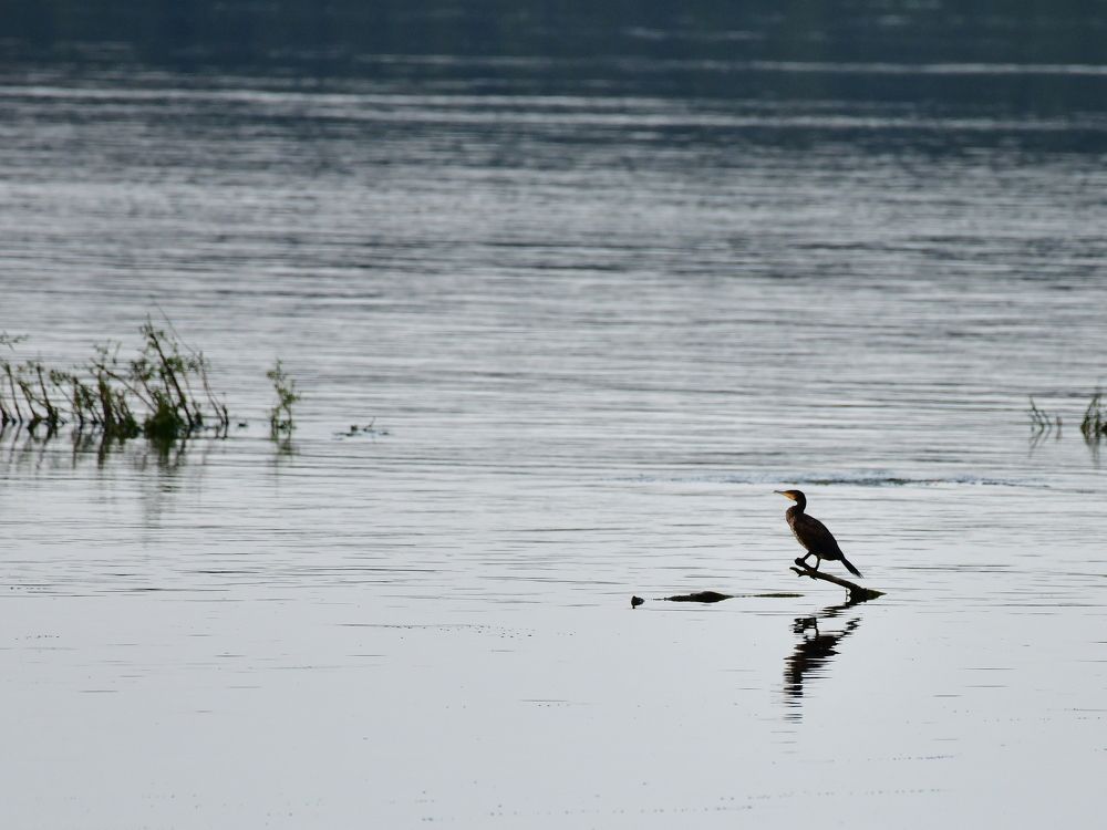 Photograph by Николай Абакумов