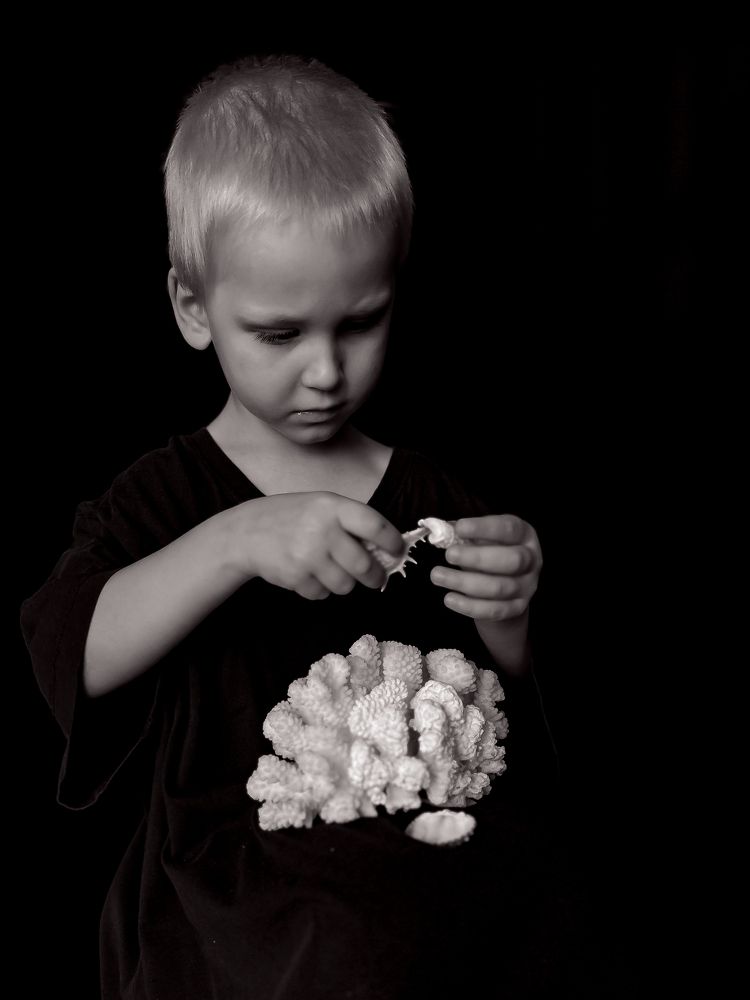 Photograph by daria eipert