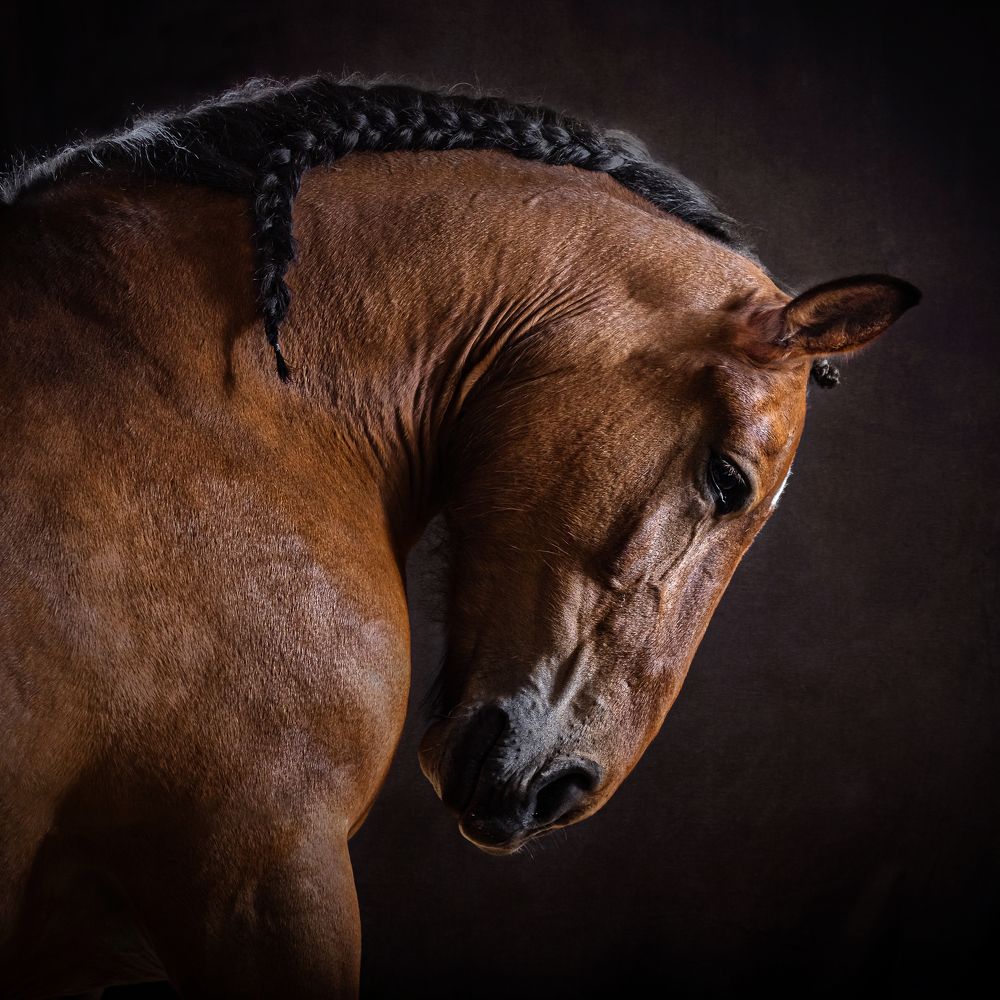 Фотография автора Irina