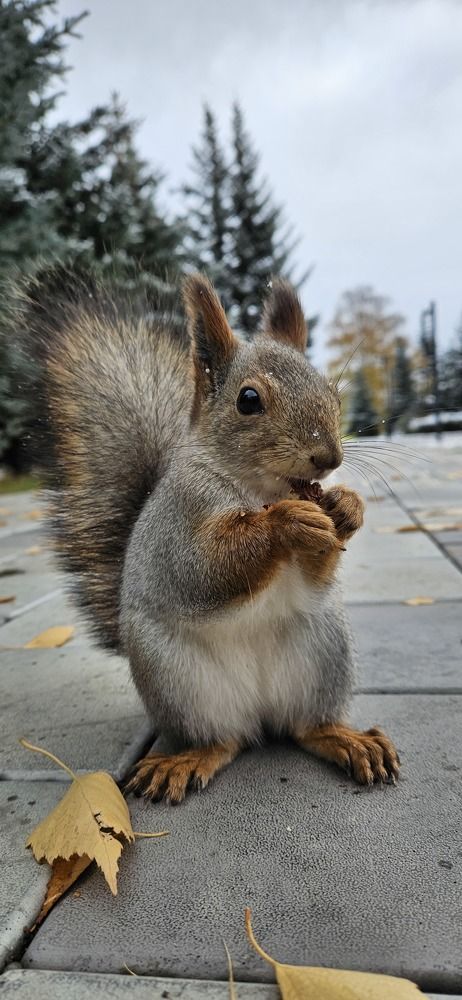 Photograph by Дмитрий