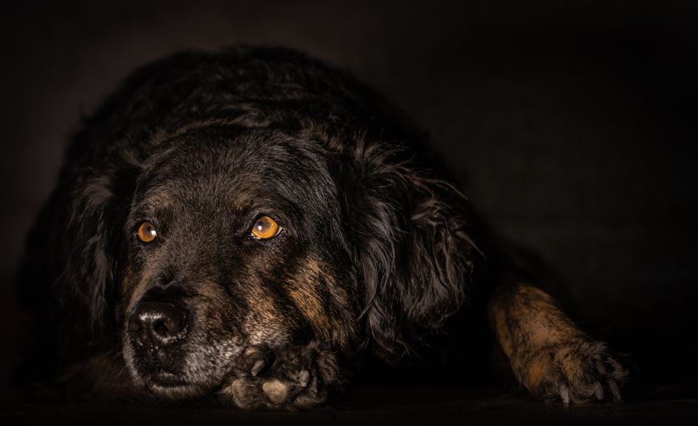 Фотография автора Irina