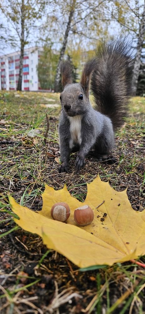 Photograph by Дмитрий