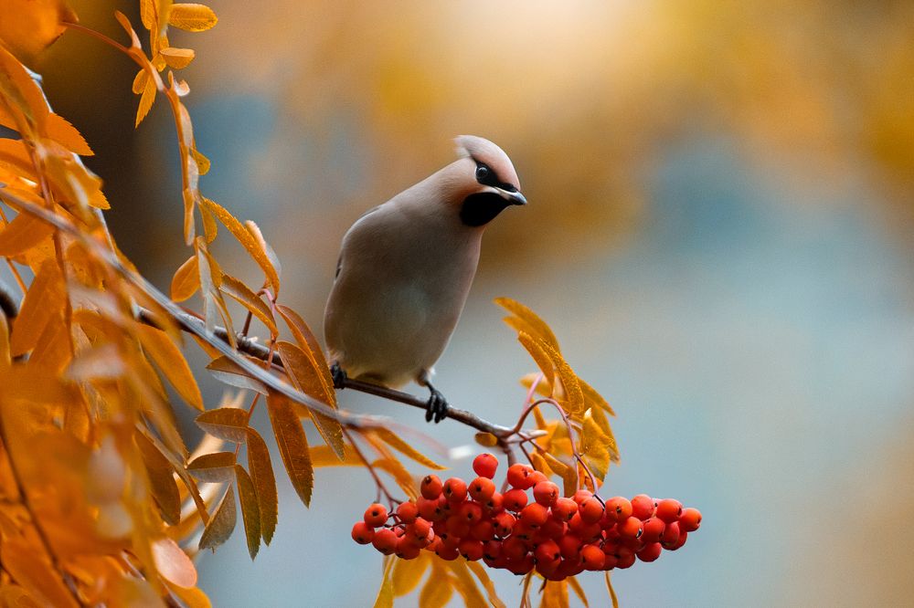Photograph by Светлана Писарева