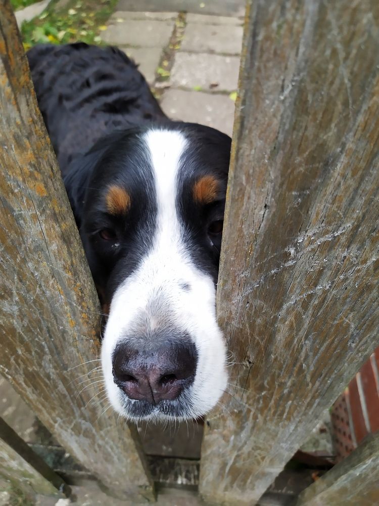 Photograph by Надежда