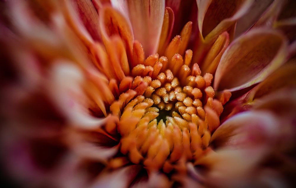 Photograph by Валерий Сарак