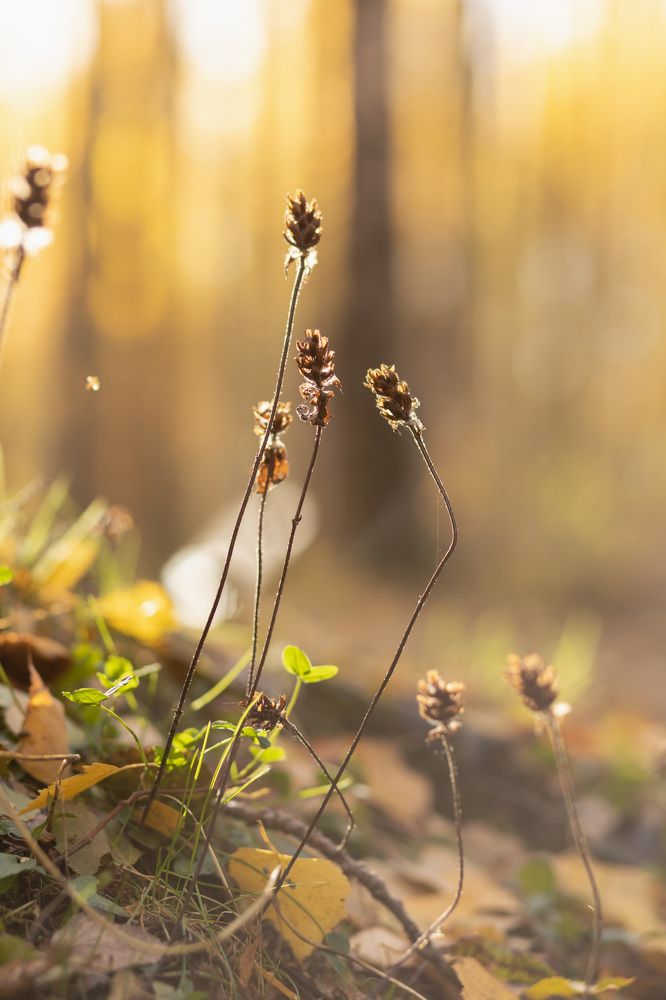 Photograph by Olga Min