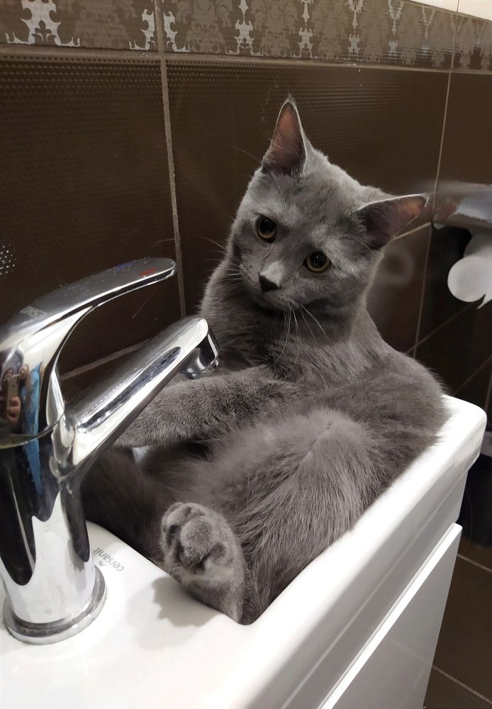 Photograph by Надежда