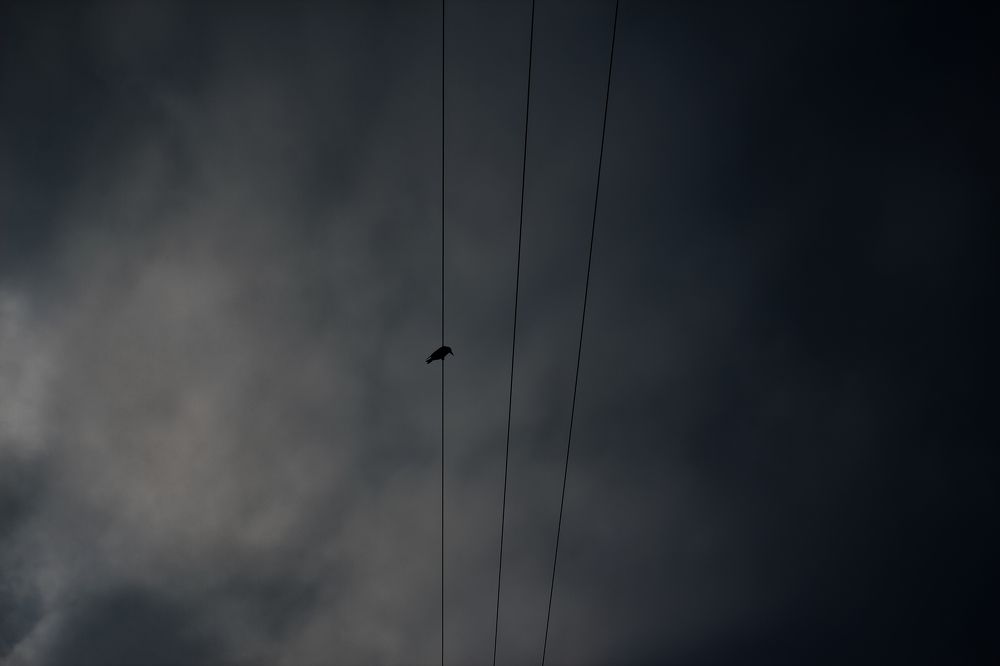 Фотография автора Mohammadian Meysam