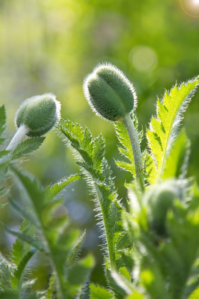 Photograph by Olga Min