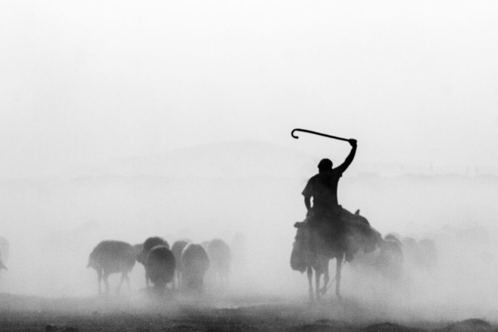 Фотография автора feyzullah Tunç