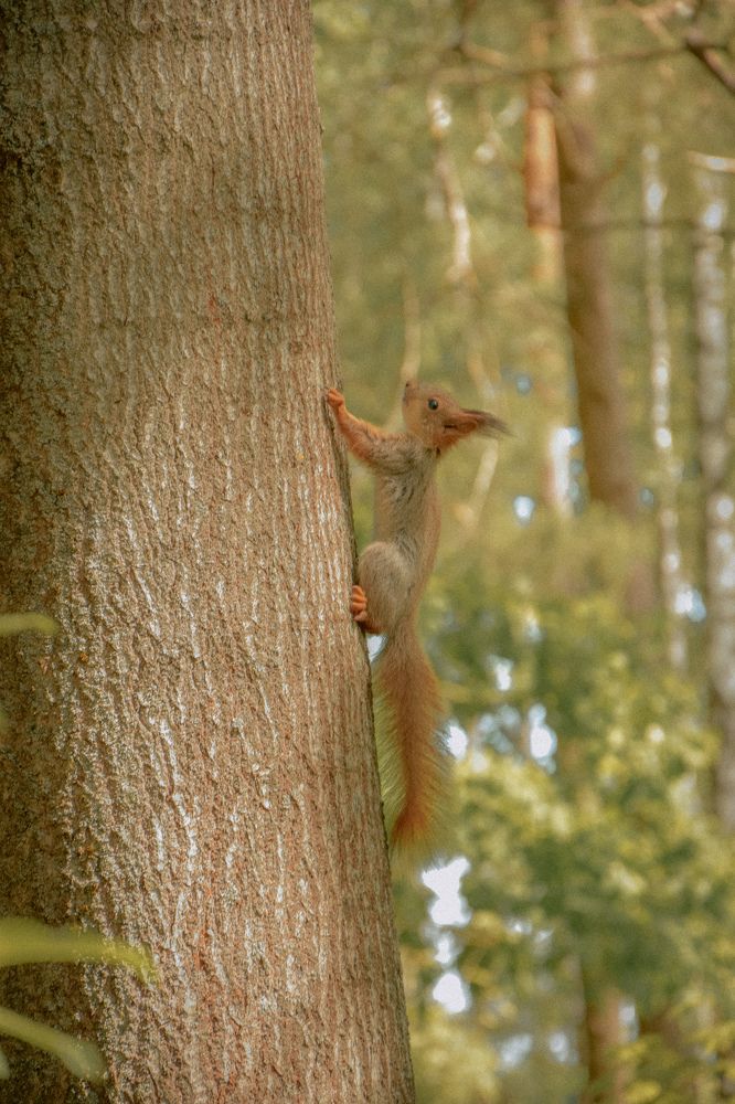 Фотография автора Ксения Вабищевич