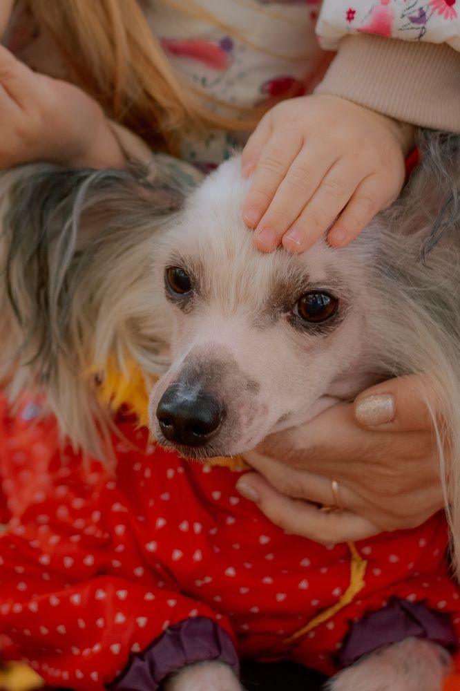 Фотография автора Ксения Вабищевич