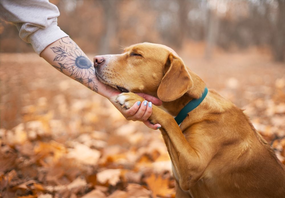 Photograph by Monika Maciejewska