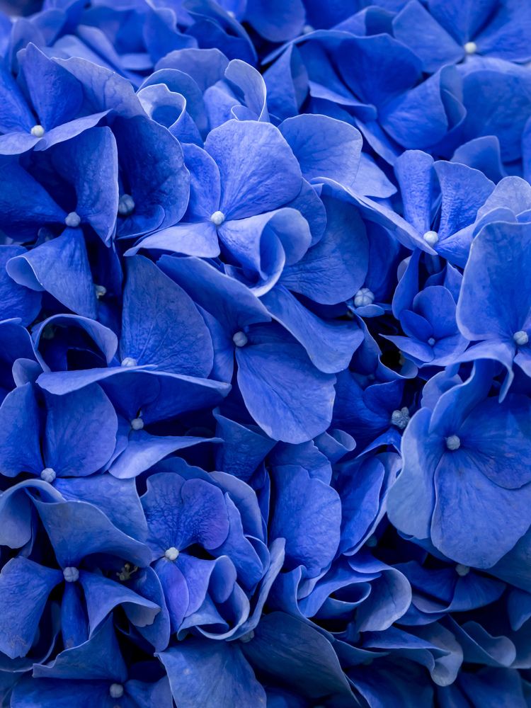 Photograph by Рина Серёгина