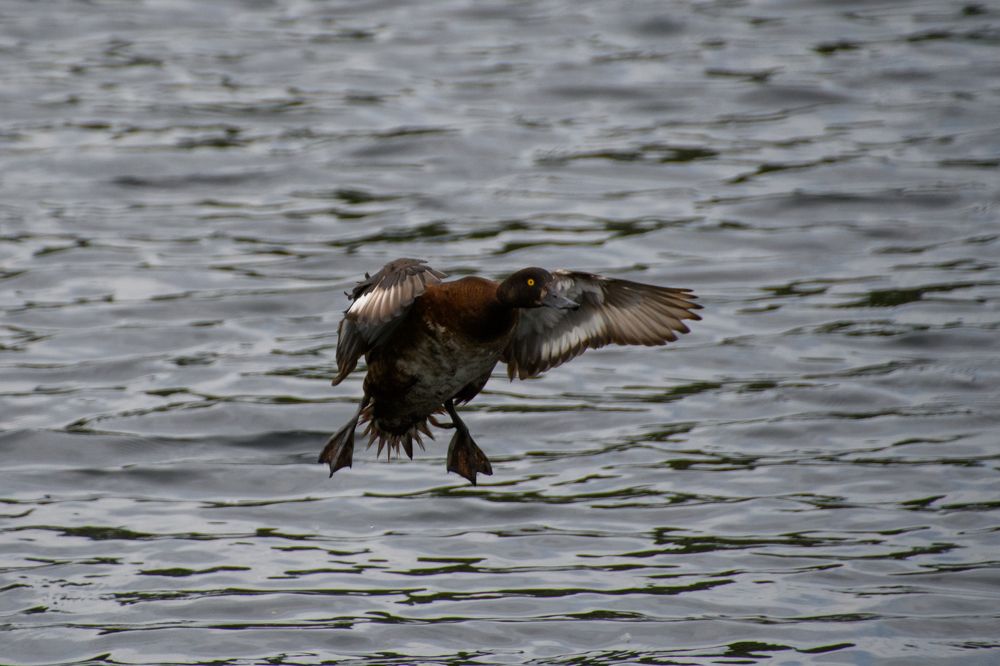 Photograph by Алексей Сальников