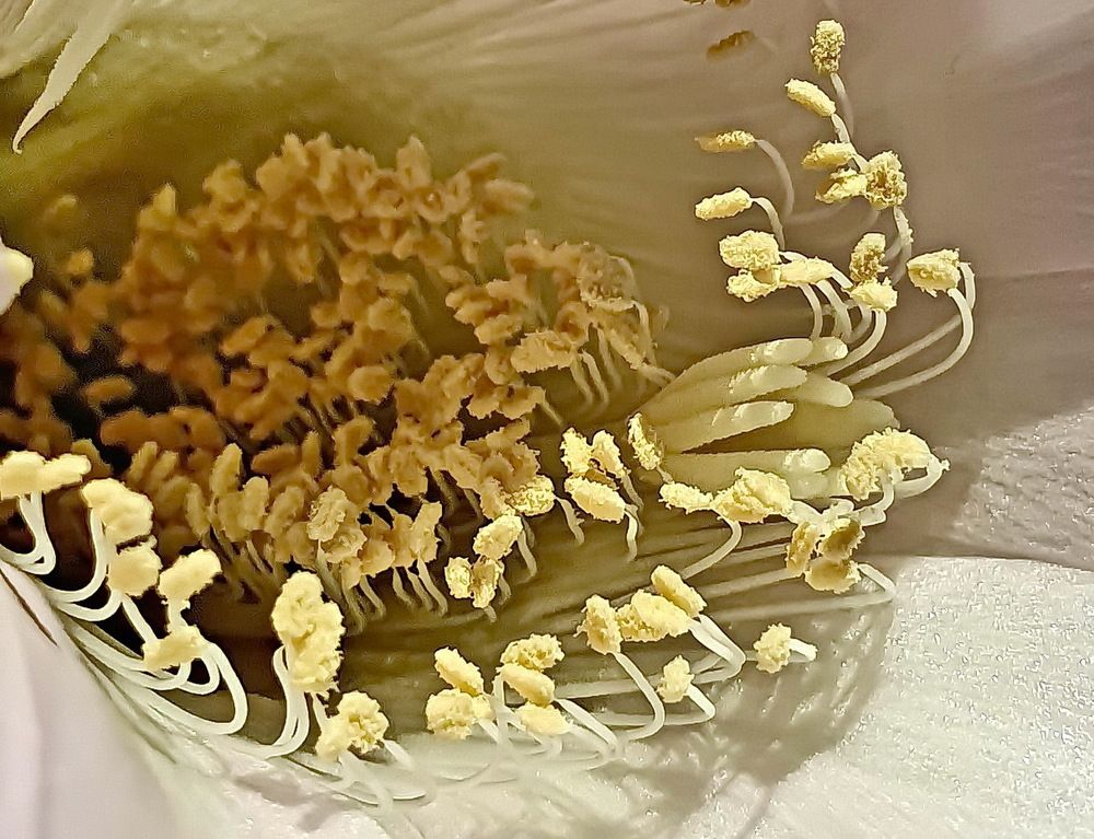 Photograph by Михаил Свиденцов