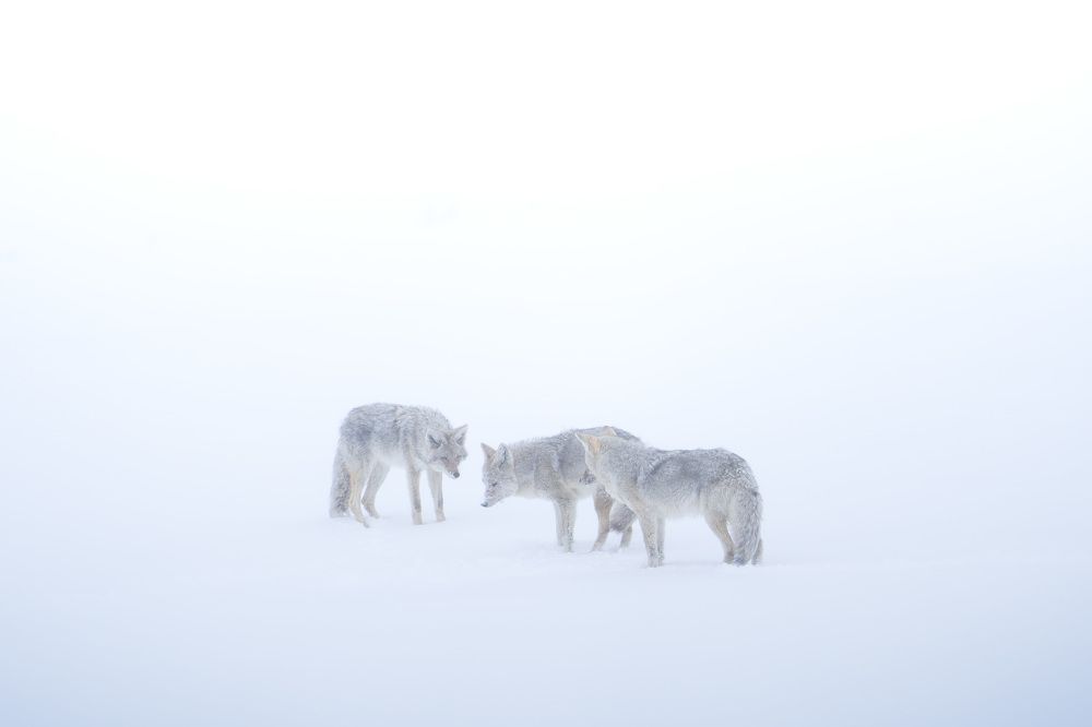 Фотография автора Karthik Subramaniam