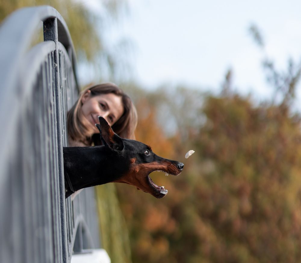 Photograph by Юлия Болдинова