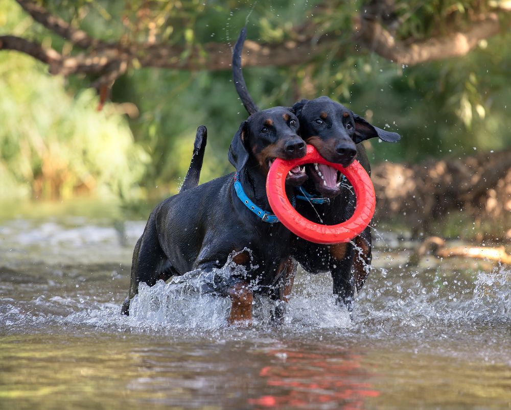 Photograph by Юлия Болдинова