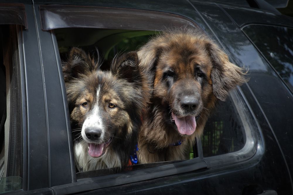 Photograph by Екатерина Рябинина