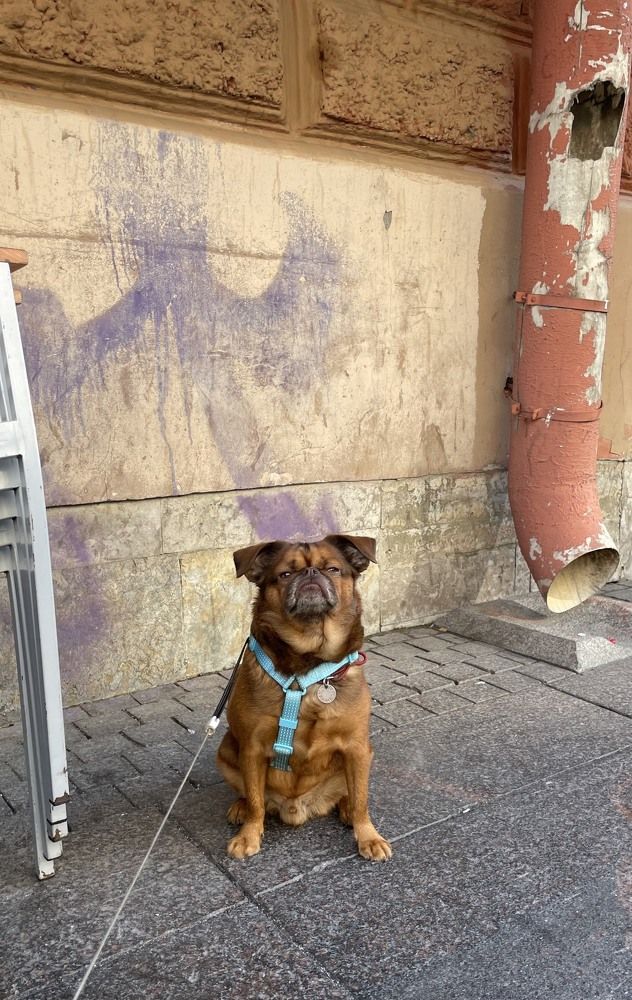 Photograph by Misha Khazov