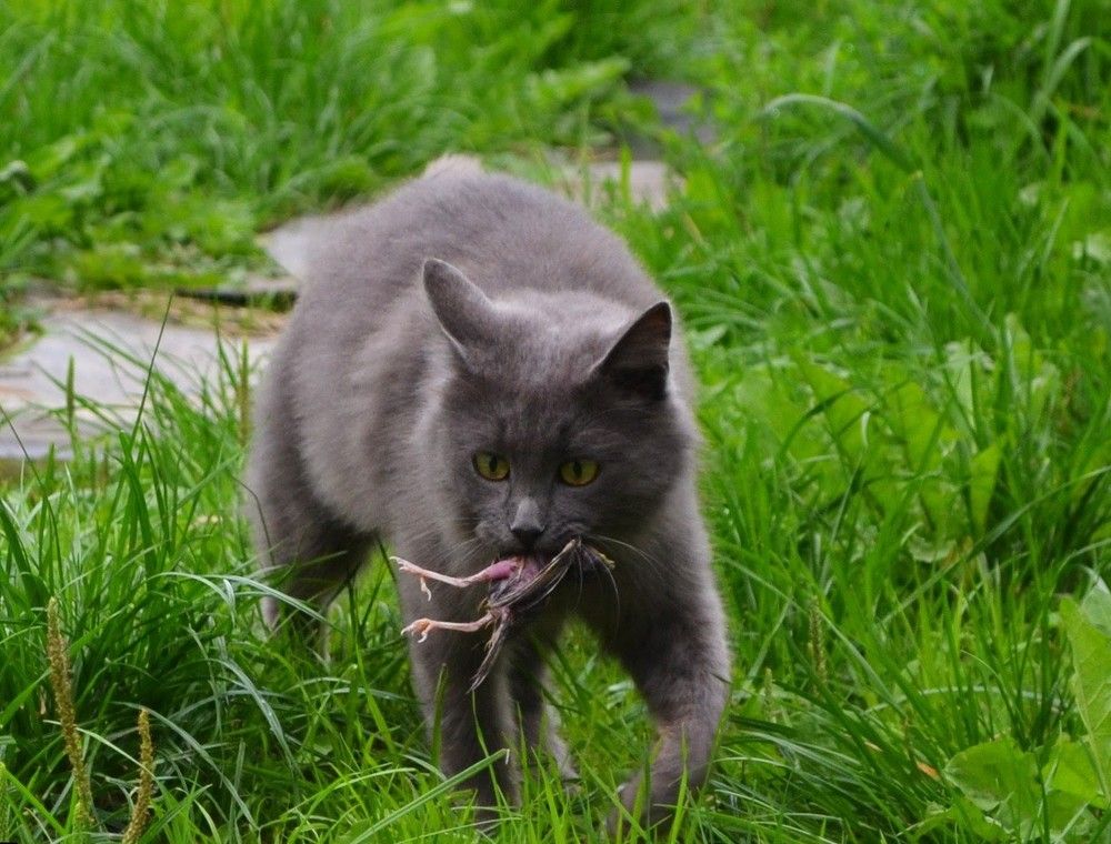 Photograph by Ольга Хромова