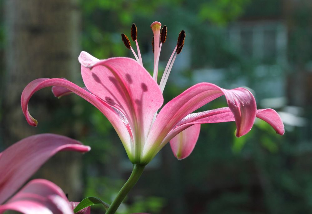 Фотография автора Кухта Мария