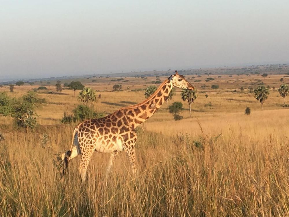 Фотография автора Slavica Gligorievska