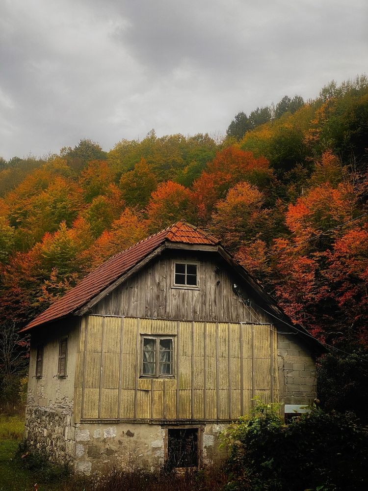 Photograph by Sadrija Ljaić