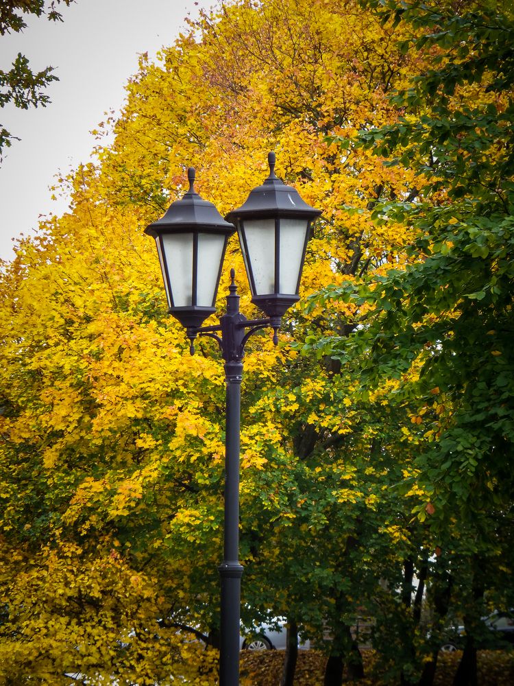 Фотография автора Ксения Смирнова