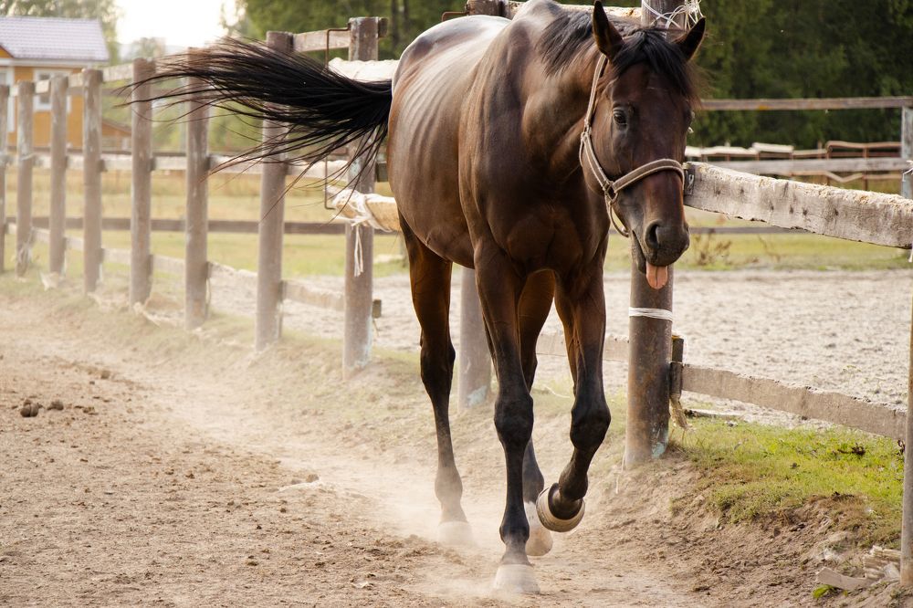 Photograph by Victoria Popkova