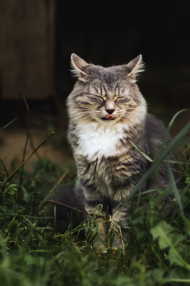 Photograph by Victoria Popkova