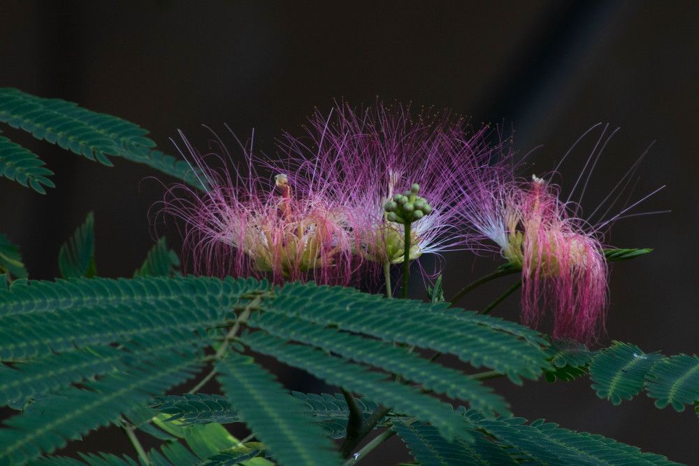 Фотография автора Ivan