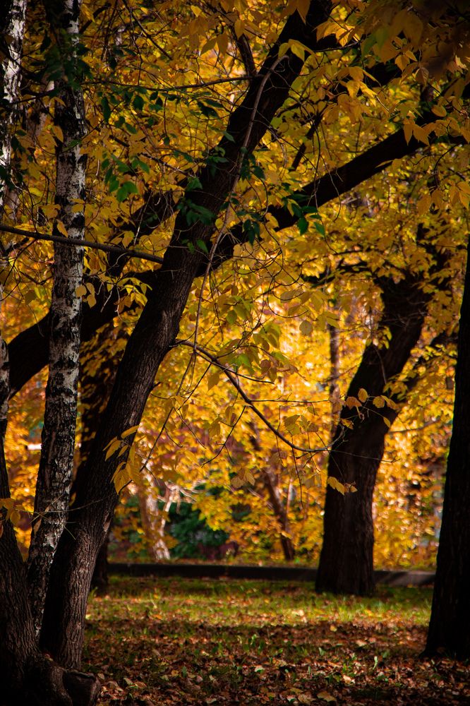 Photograph by Владимир Сушкин