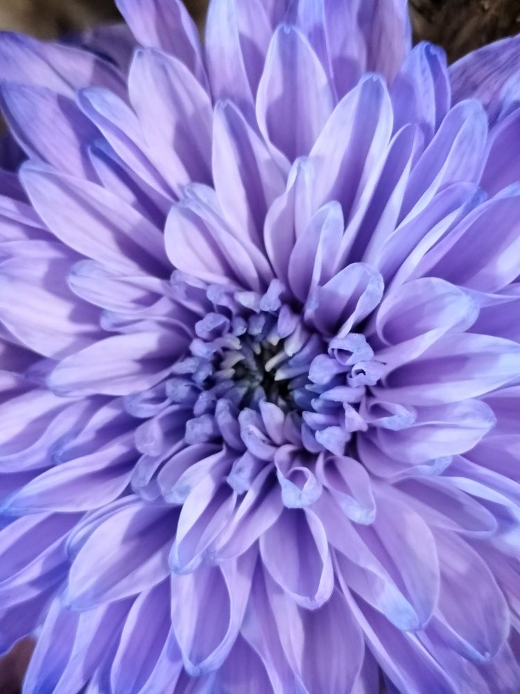 Фотография автора Maksim Gafner