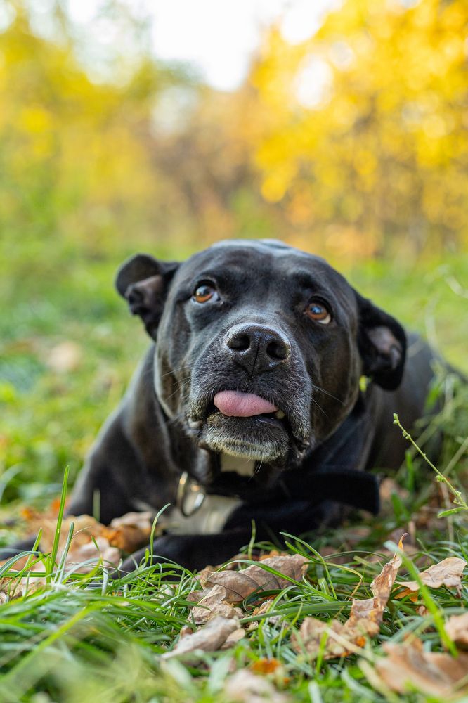 Photograph by Лина Константинова