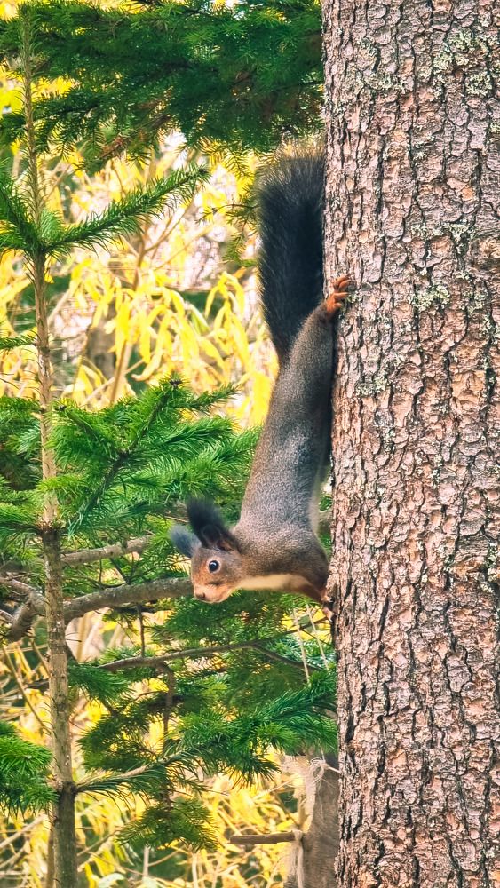 Photograph by Клавдия