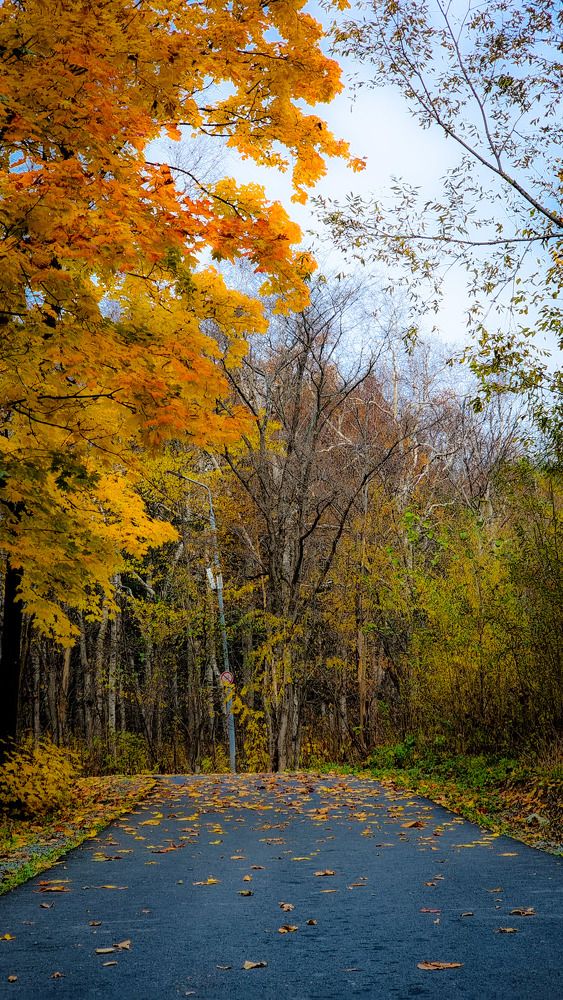 Photograph by Клавдия