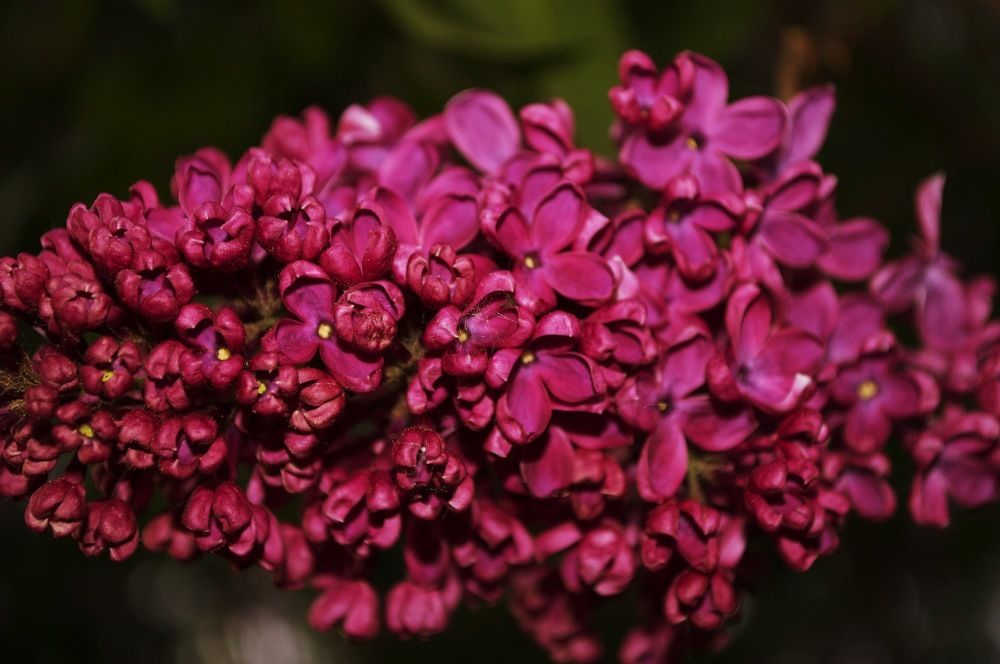 Photograph by Михаил Никитин