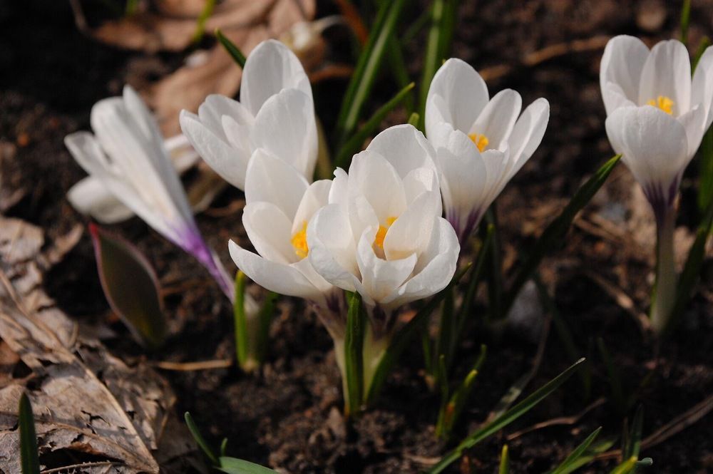 Photograph by Михаил Никитин