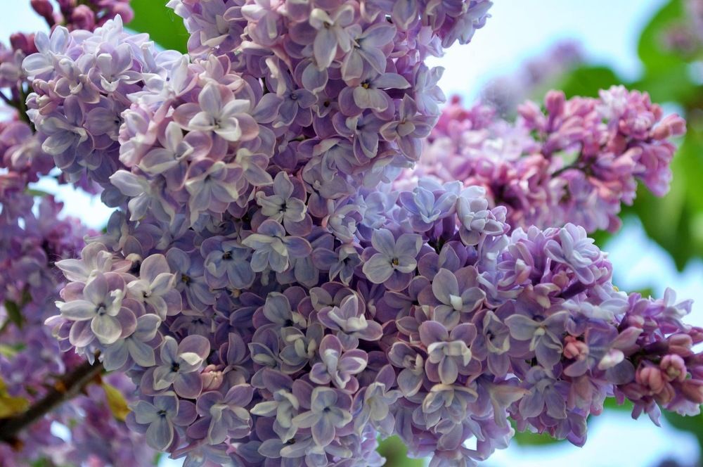 Photograph by Михаил Никитин