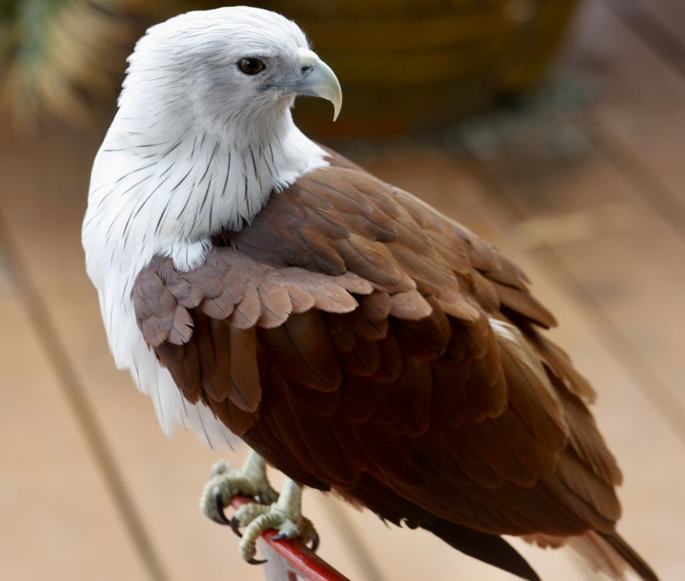 На острове Джеймса Бонда. Таиланд