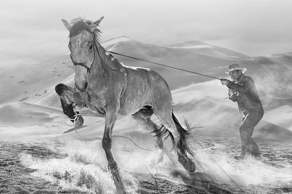 Dream of horse riding