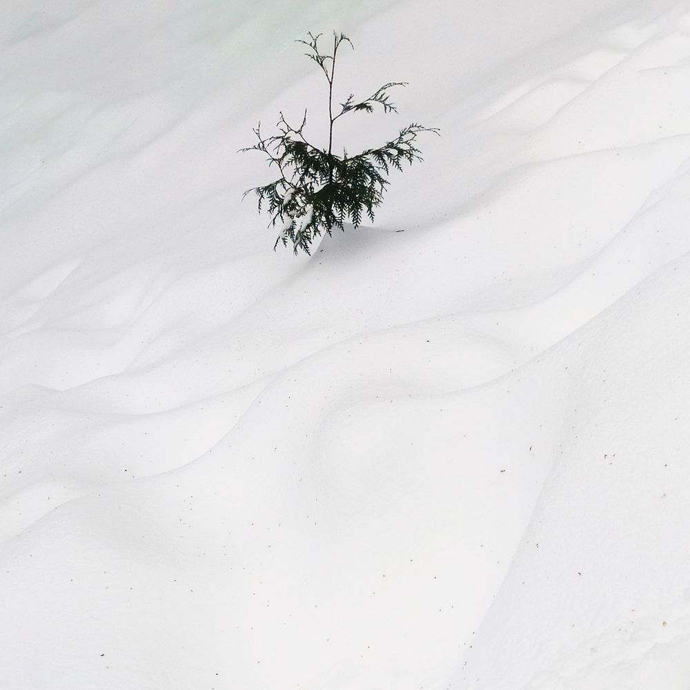 Photograph by Светлана Семенова