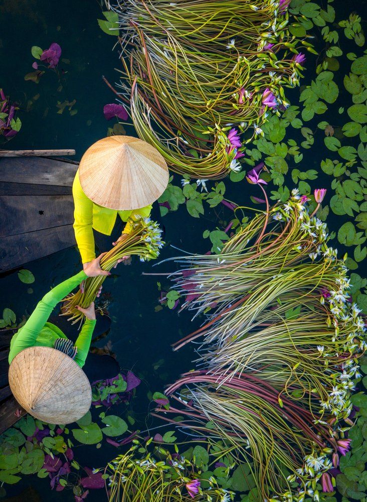 Photograph by Mon Trinh