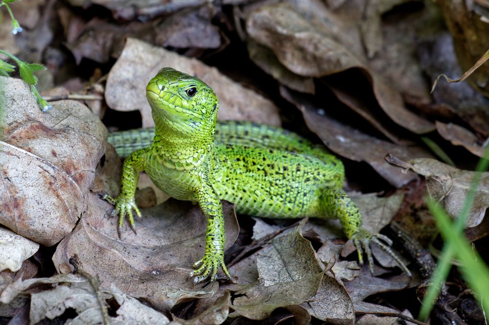 Photograph by Андрей Востриков
