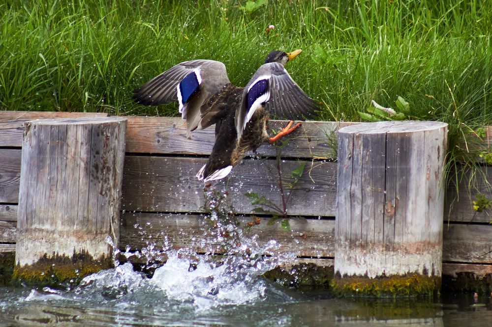 Photograph by Андрей Востриков