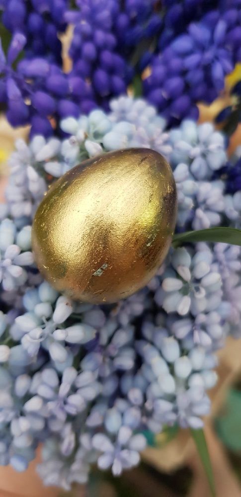 Фотография автора Ольга Мусина