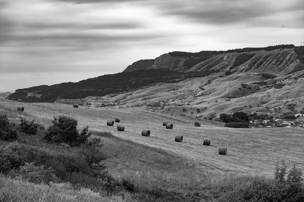 Photograph by Виталий Са